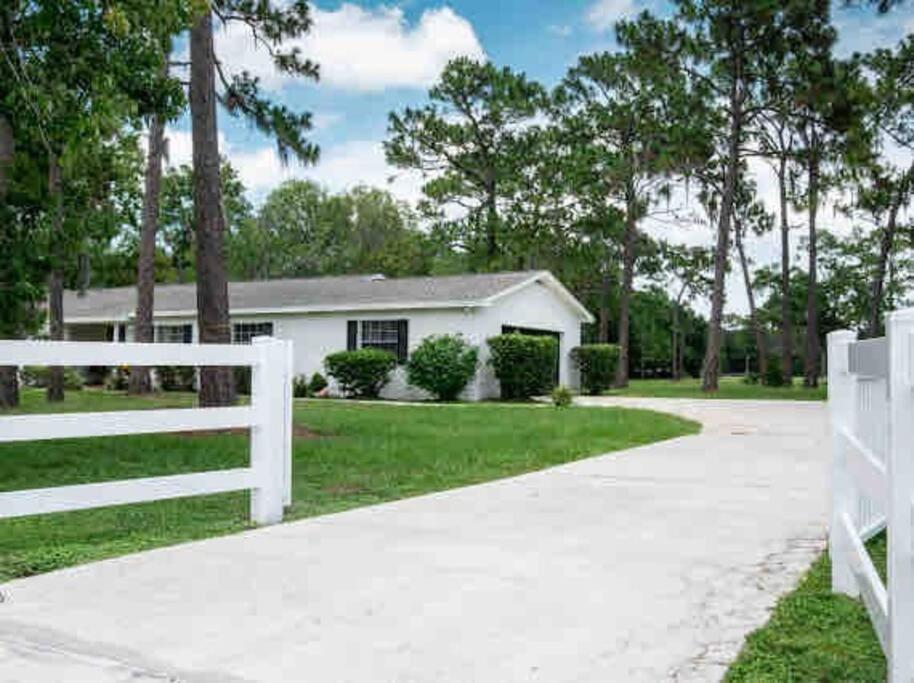 3Bdr2Bath Home In Lutz Close To Tampa, 20 Min To Stadium, Airport Exterior photo